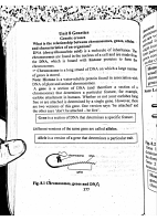 Modern Genetics.pdf